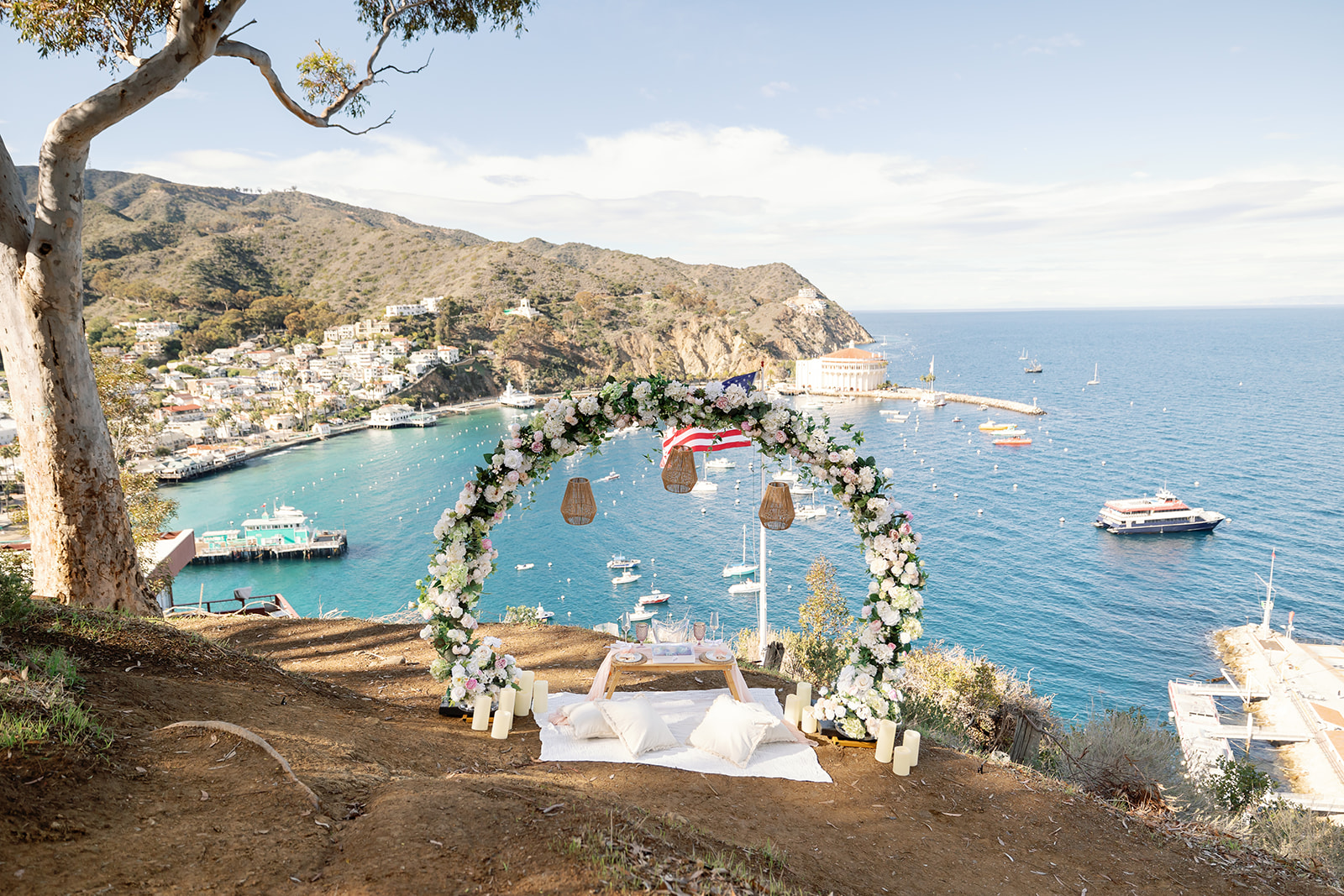 Proposal setup by The Yes Girls for a Catalina Island Proposal at Buena Vista Point.
