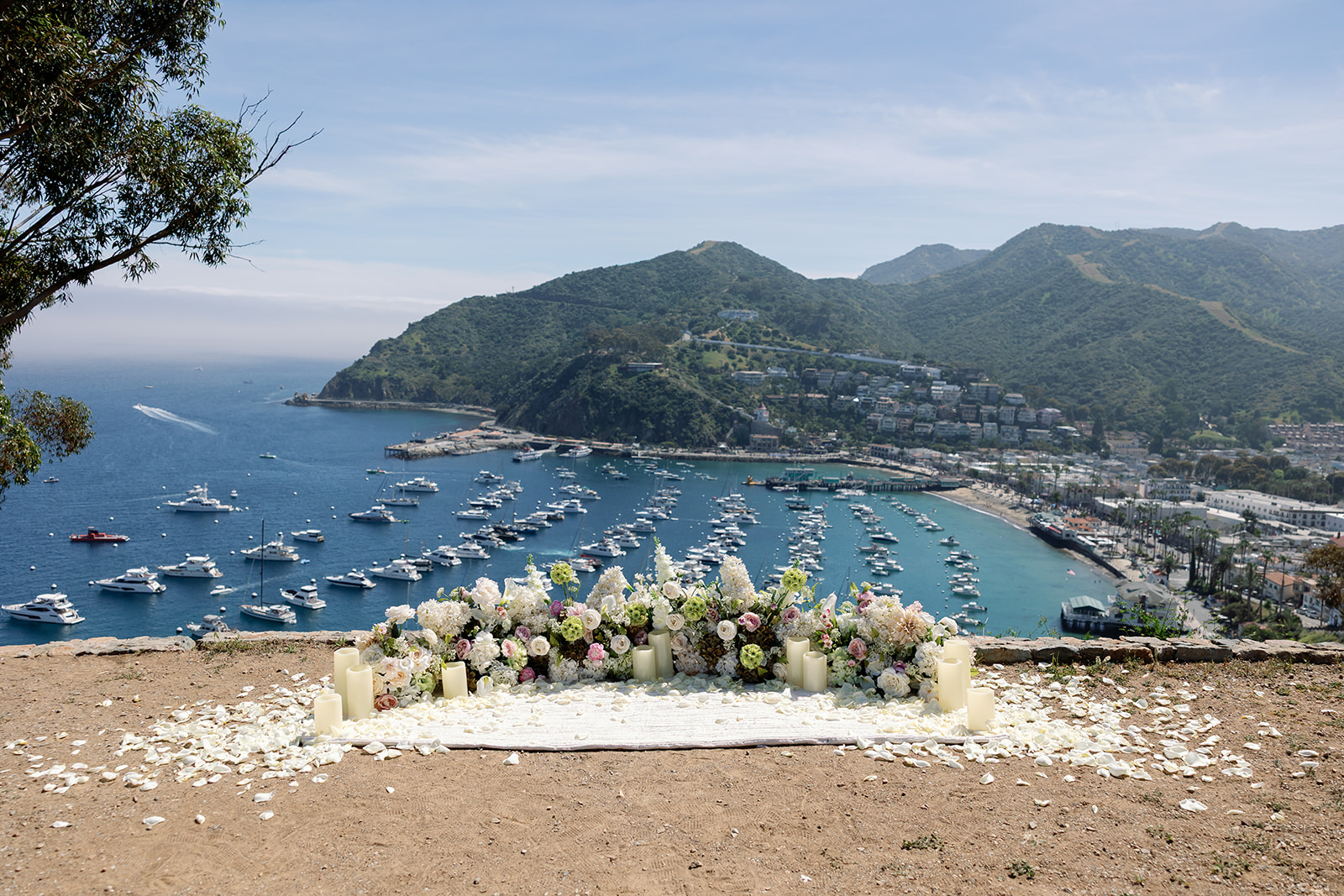 Catalina Island proposal setup by The Yes Girls at Lee’s Scenic Overlook.